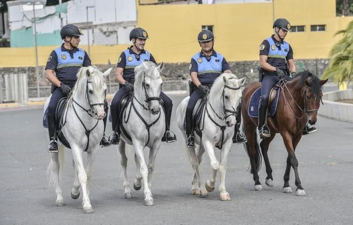 Nuevo servicio de la Policía Local de Las Palmas d