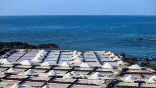 Las Salinas de Fuencaliente mantienen su producción artesanal de sal marina casi seis décadas después