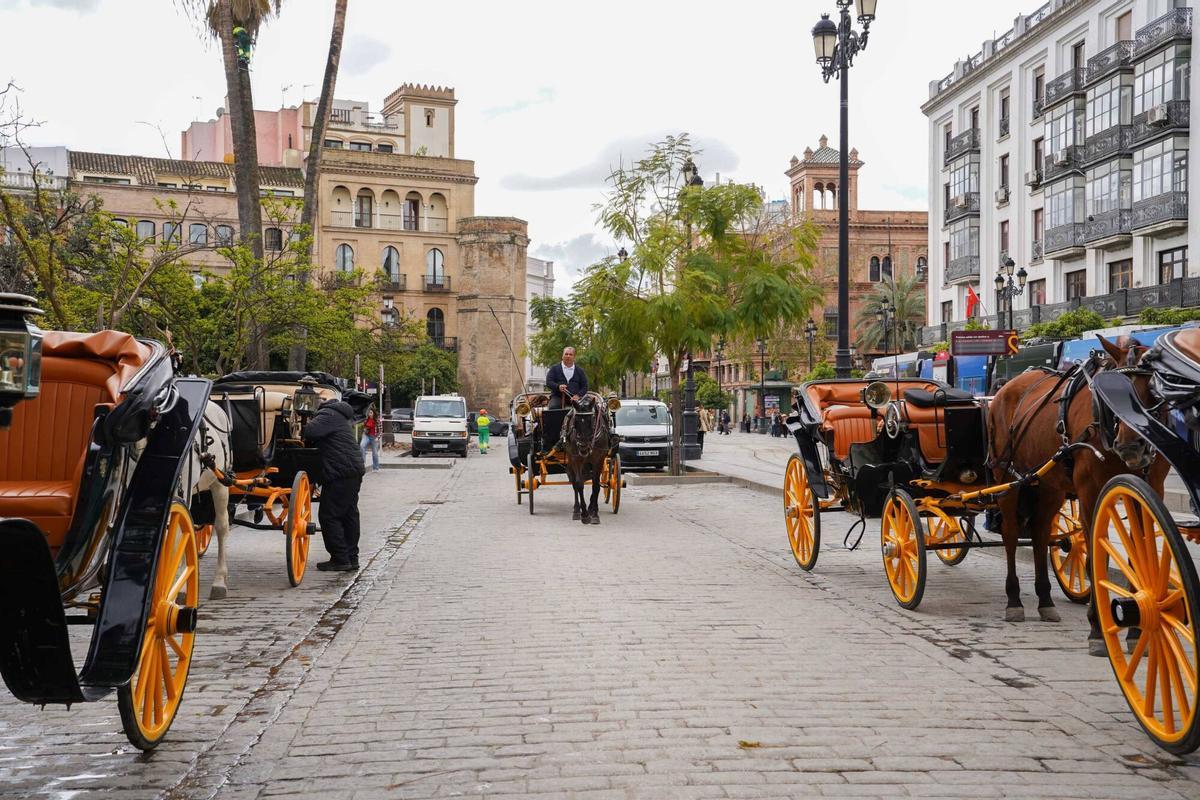 Coches de caballo, Sevilla