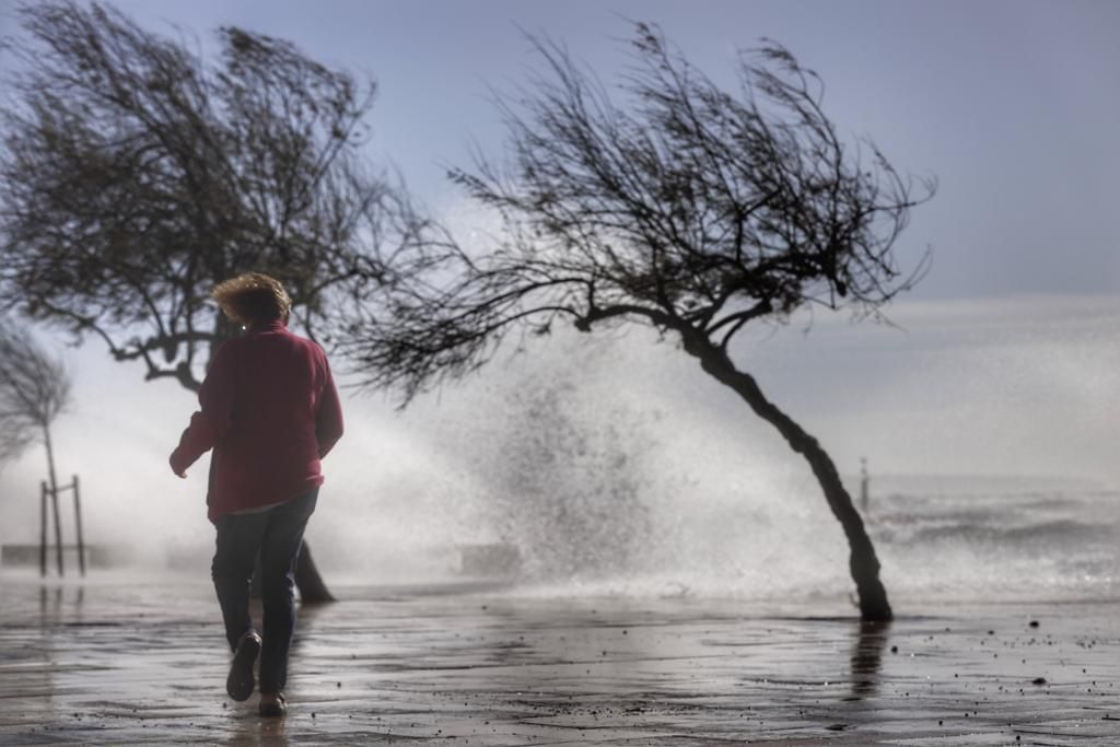 El temporal de viento deja decenas de incidentes en Mallorca