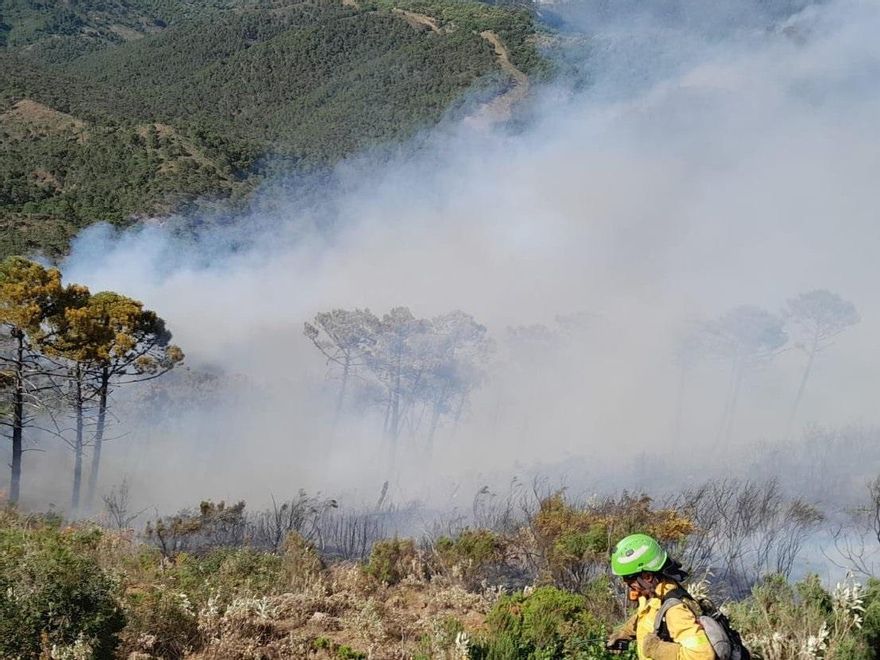 Incendio forestal en el paraje La Resinera de Pujerra