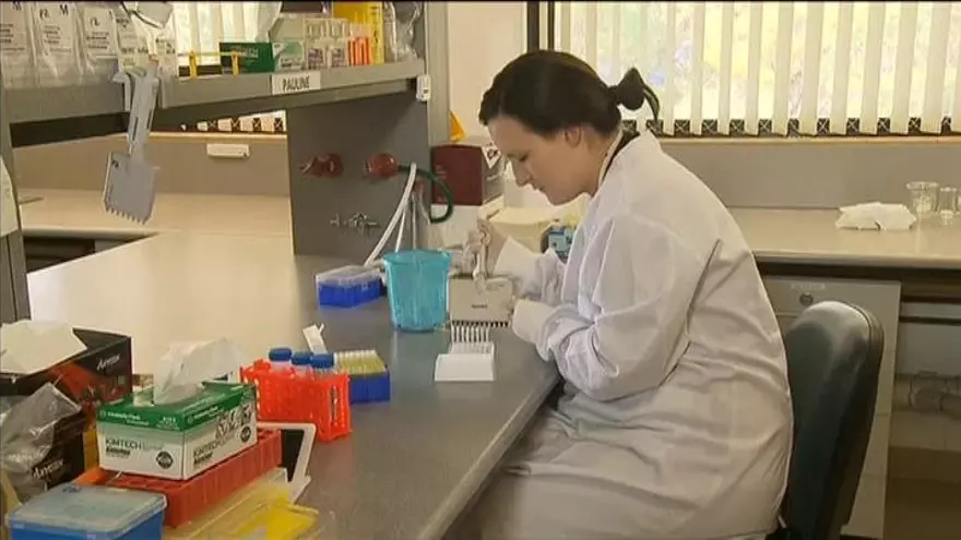 Descubren el primer análisis de sangre capaz de detectar melanomas