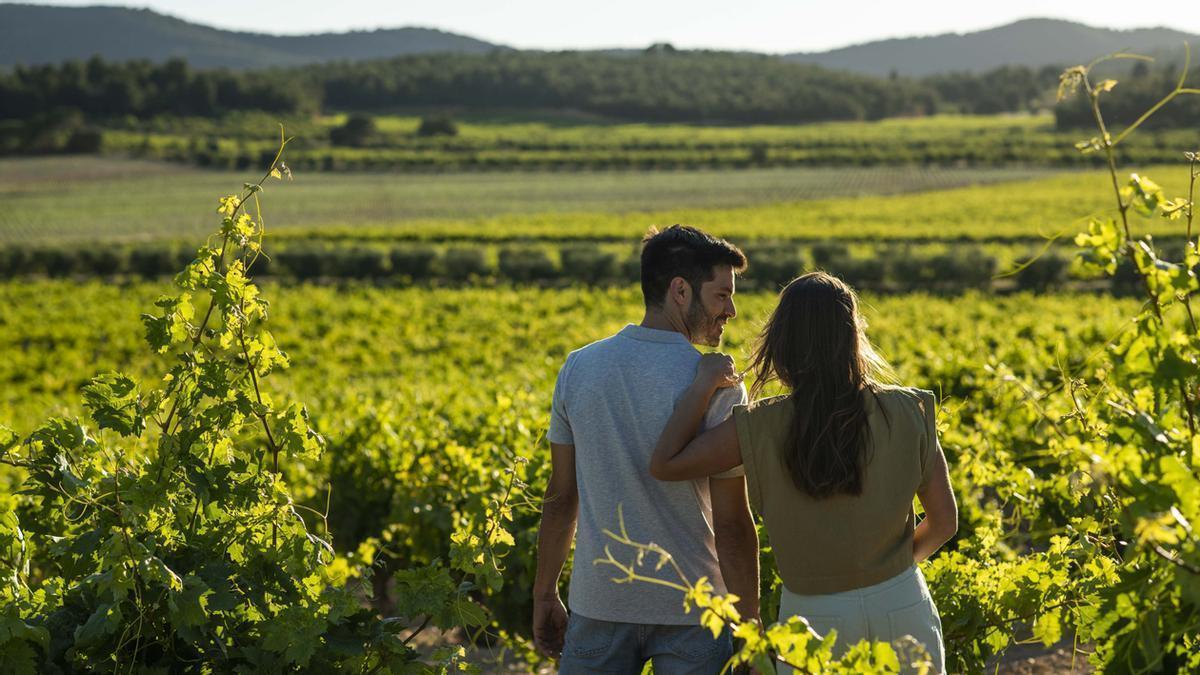 El viñedo se mimetiza con el bosque para crear un paisaje de extraordinaria belleza en el interior de la Comunitat Valenciana.