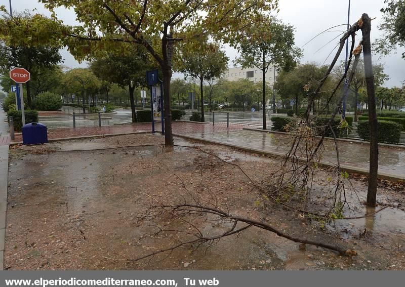 GALERÍA DE FOTOS -- Efectos de las tormentas en la provincia