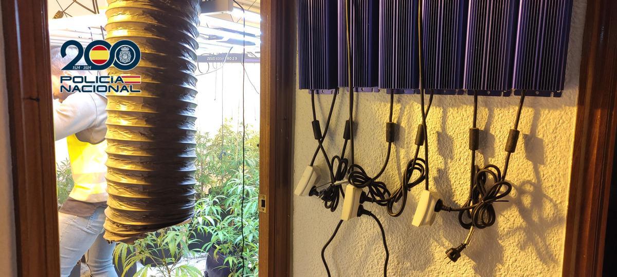 Instalación  eléctrica para mantener el cultivo de marihuana en el chalet de lujo de Elche