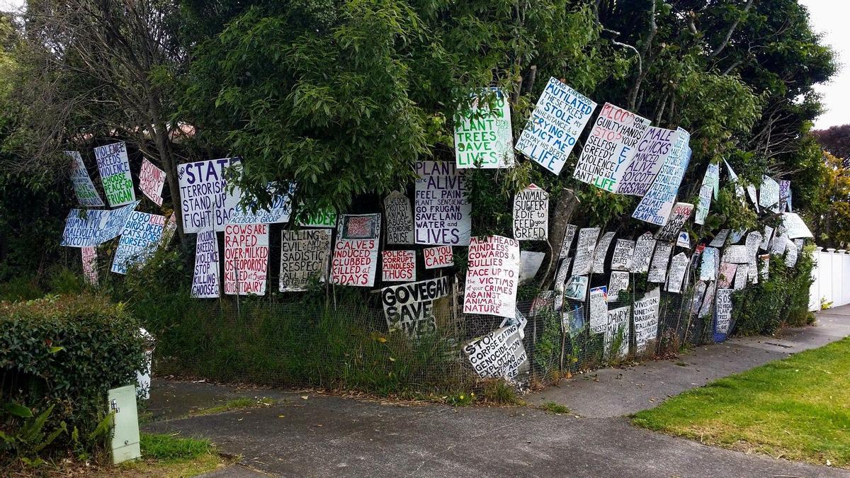 Mount Albert Road, Auckland