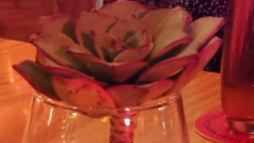 Especie endémica de Lanzarote decorando la mesa de un restaurante