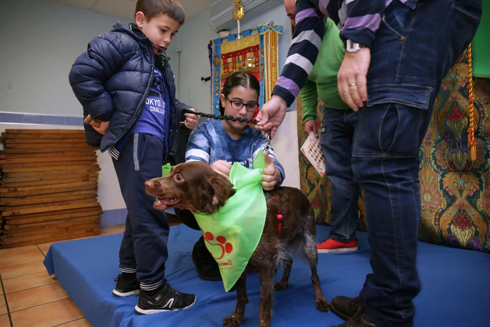 La primera falla canina de València