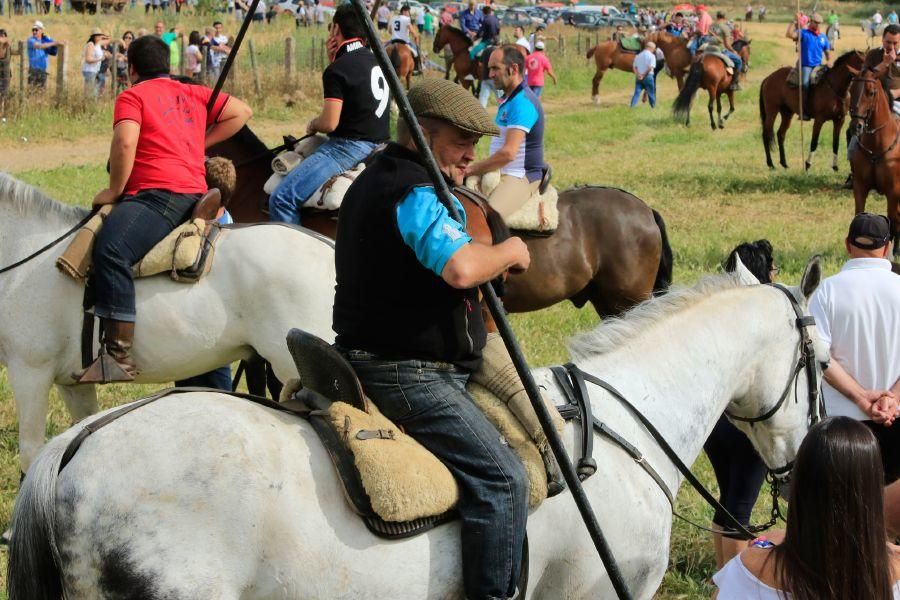 Toros bravos en Vadillo de la Guareña