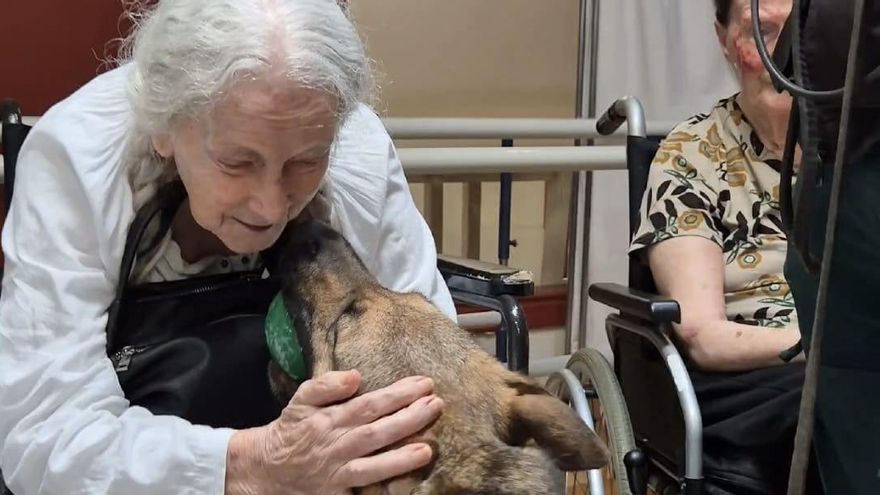Los perros Bella y Rumba de la Guardia Civil visitan una residencia de personas mayores en Costa d&#039;en Blanes