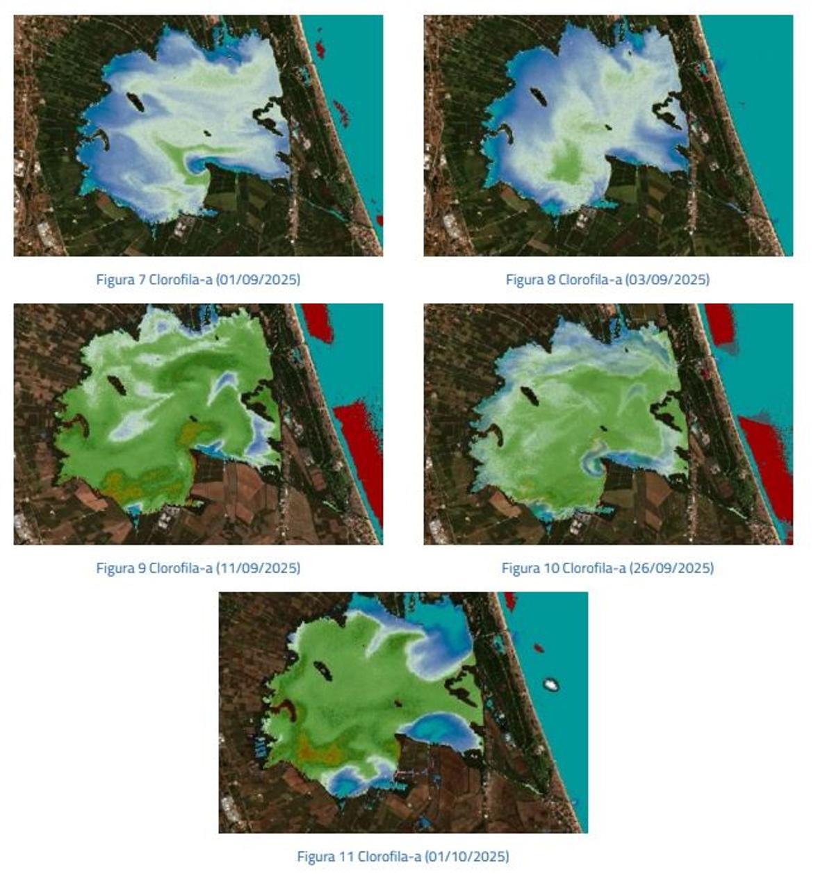 Imágenes que muestran la concentración de clorofila y su evolución