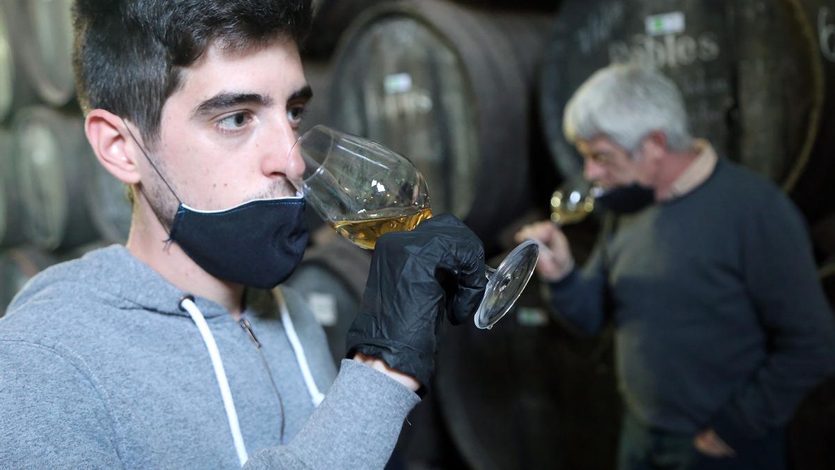 Un trabajador cata un vino ecologico junto a Juan Robles, propietario de Bodegas Robles de Montilla.