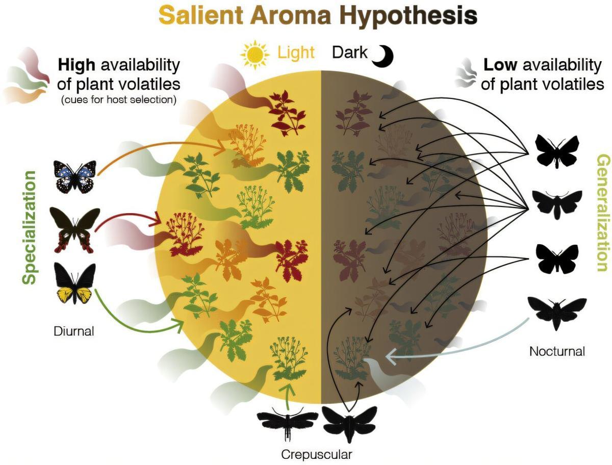 Hipótesis del aroma saliente.