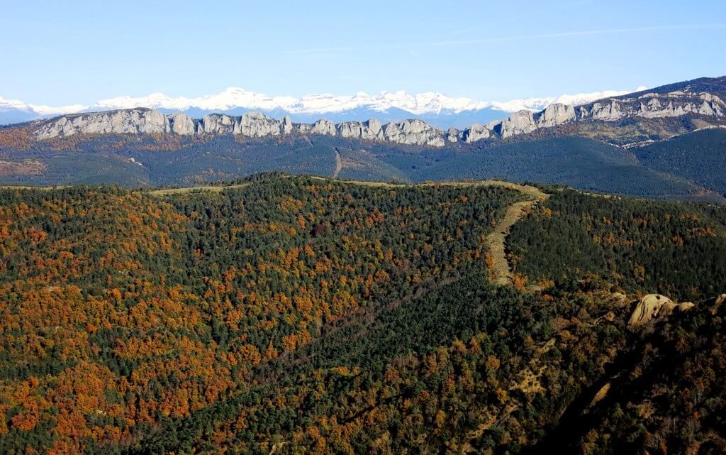 La joya geológica del Puy Moné escolta al hayedo.