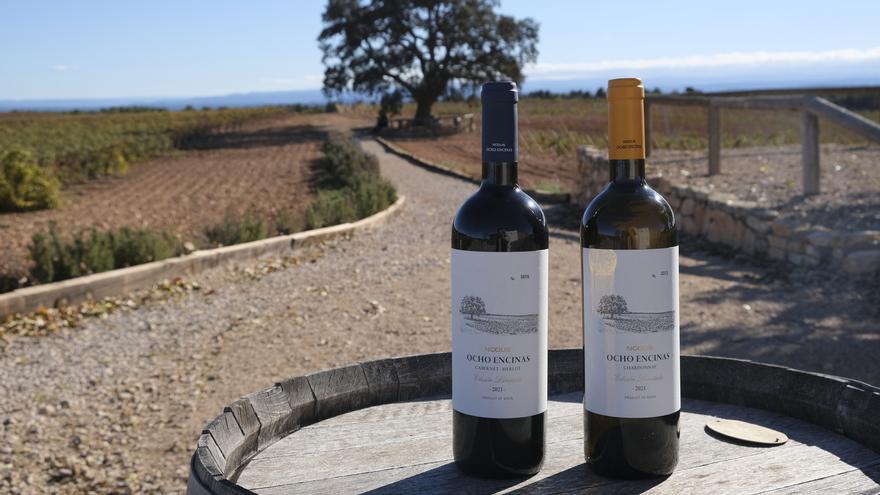 Bodegas Nodus: una finca cobijada por ocho encinas