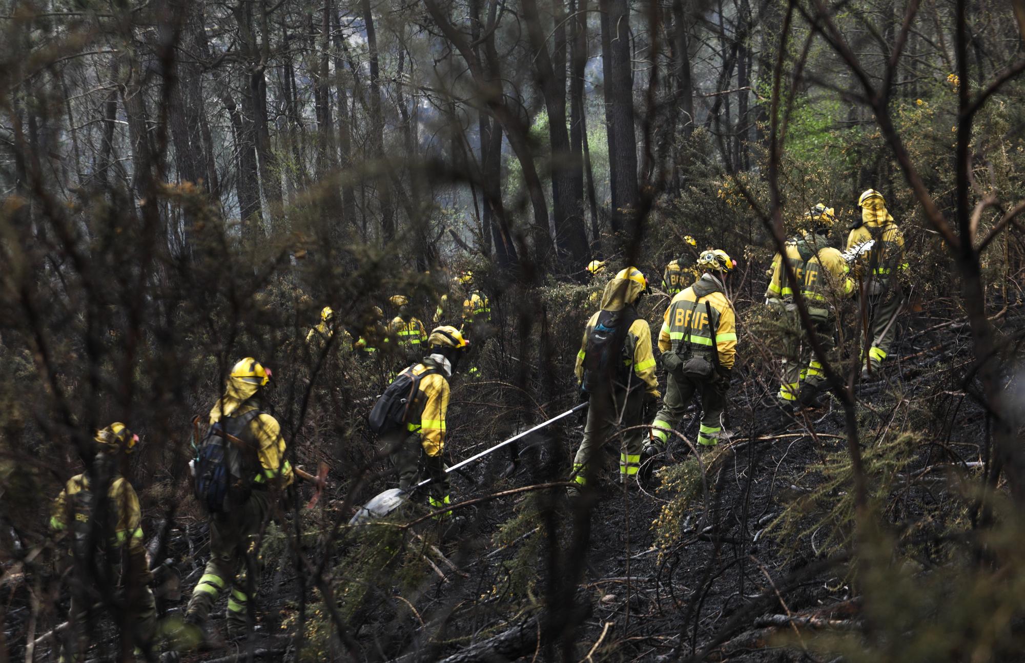 Trabajos de extinción de los incendios en Valdés