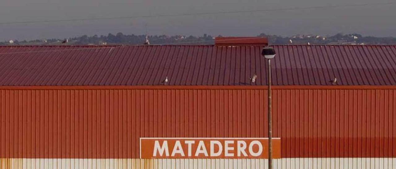 Instalaciones del Matadero de Gijón.