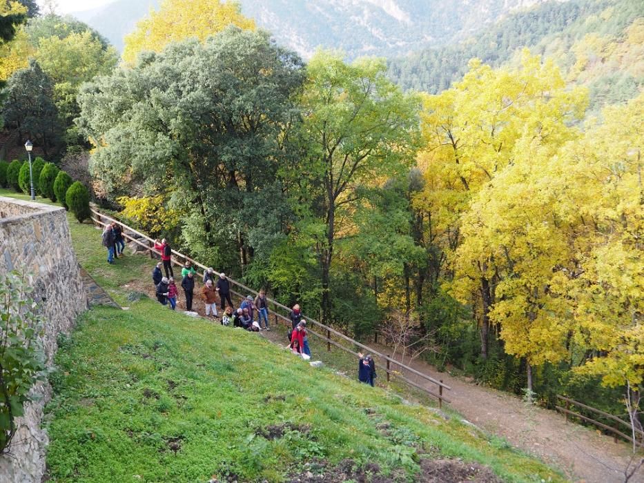 Matinal de natura i gastronomia al Berguedà