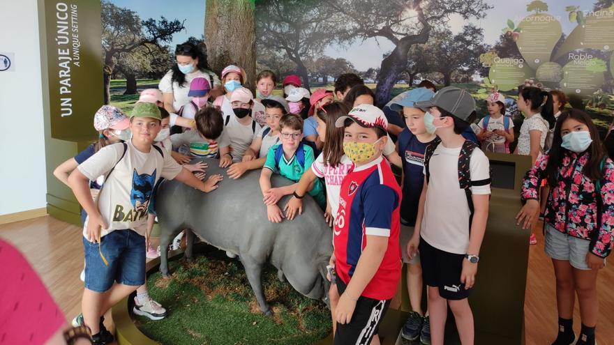 Monesterio dedica el Día Internacional de los Museos a los escolares