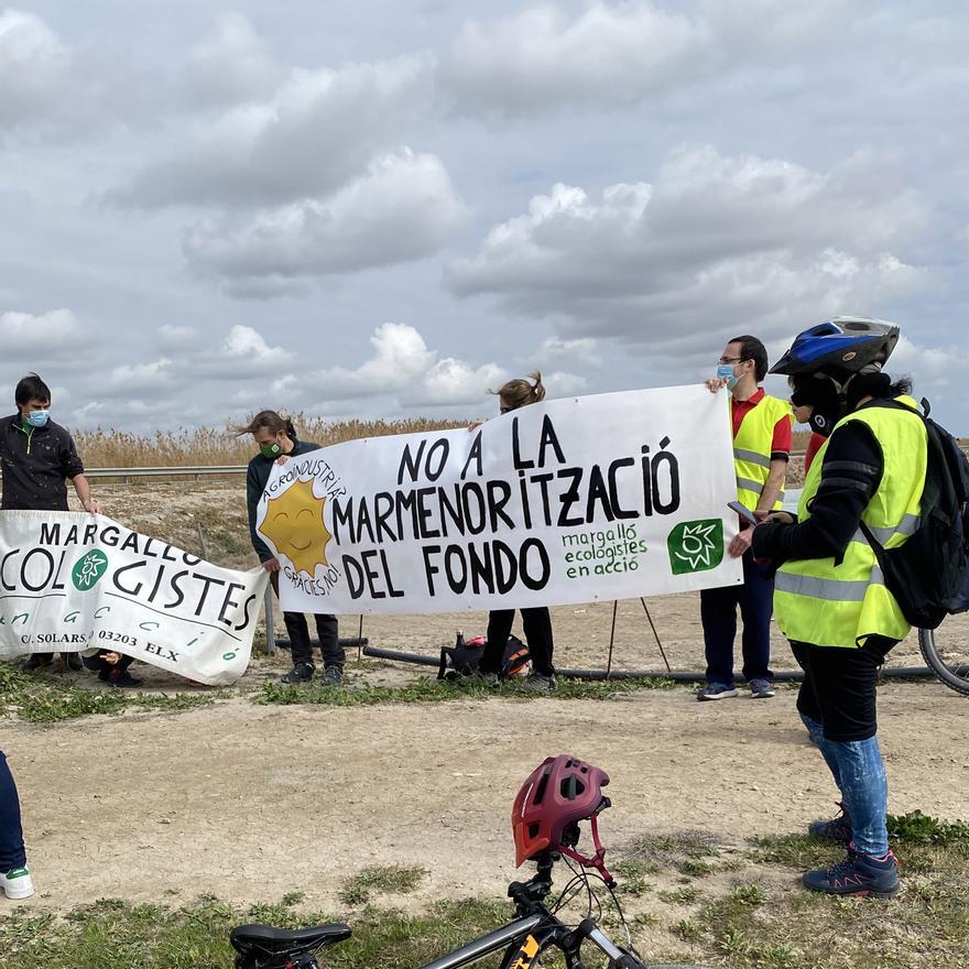 Protestas de ecologistas en febrero sobre los macrocultivos junto a El Hondo de Elche