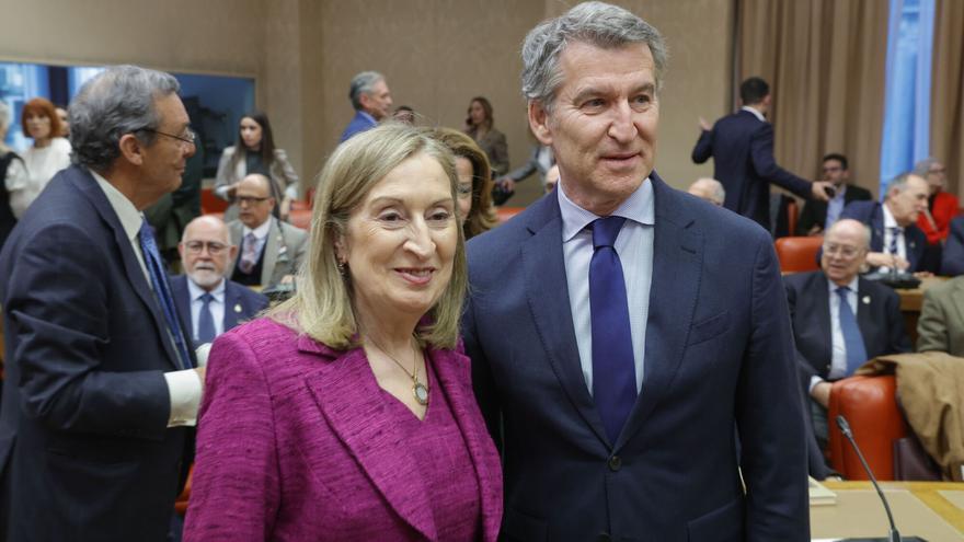 Feijóo acusa a Sánchez de ser “la excepción de Europa”: “El único gobierno empeñado en la destrucción”