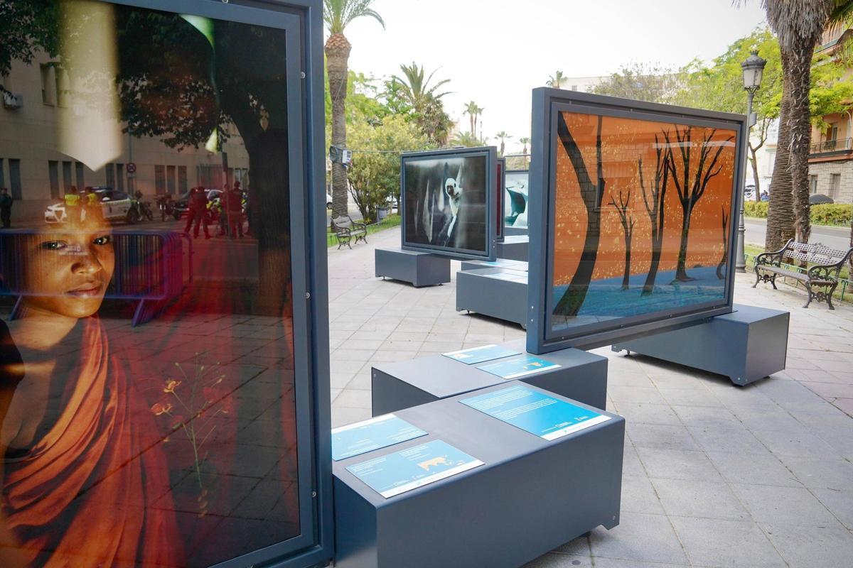 Fotografías de la exposición dedicadas a los colores rojo y naranja