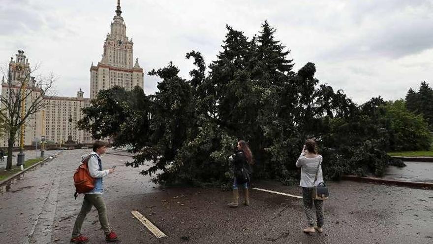 Árbol derribado por el fuerte temporal en Moscú. // Efe