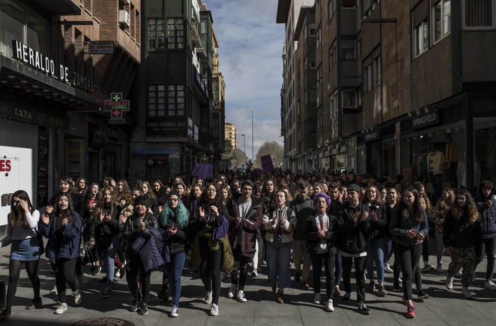 8M en Zamora | Manifestación Estudiantes