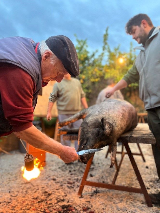 Las 'matances' de Tastavins, en Manacor