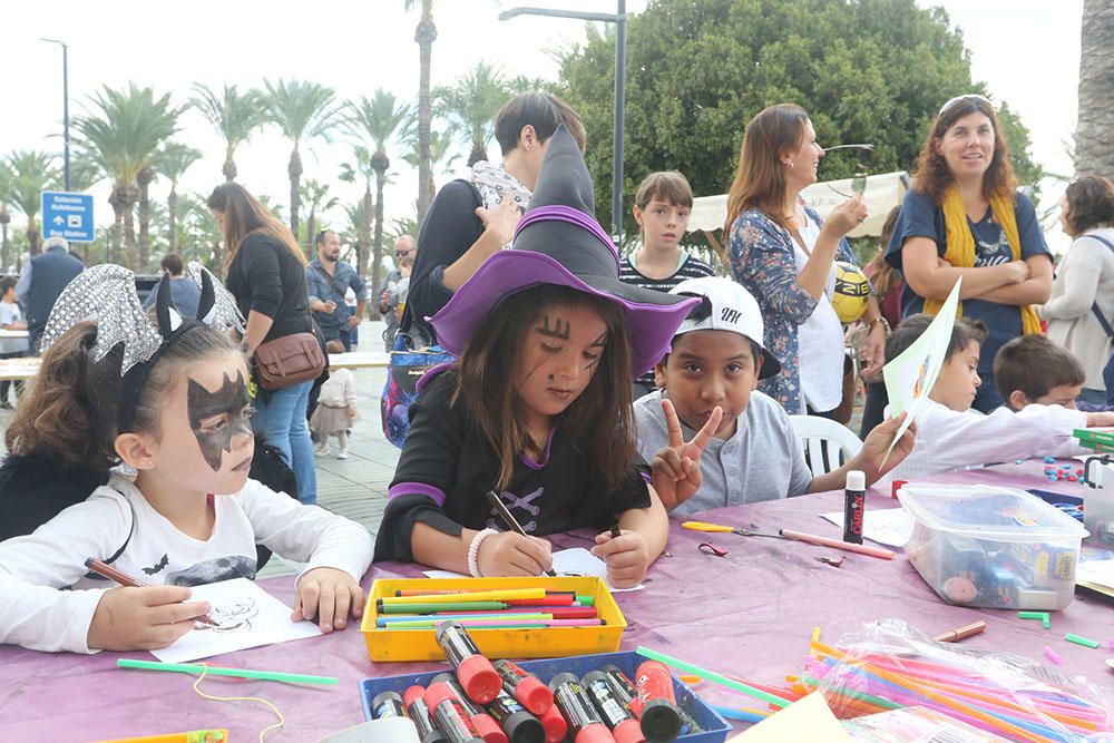 Trencada en Sant Antoni