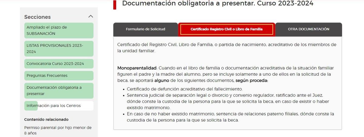 Requisitos de las becas comedor para las familias monoparentales.