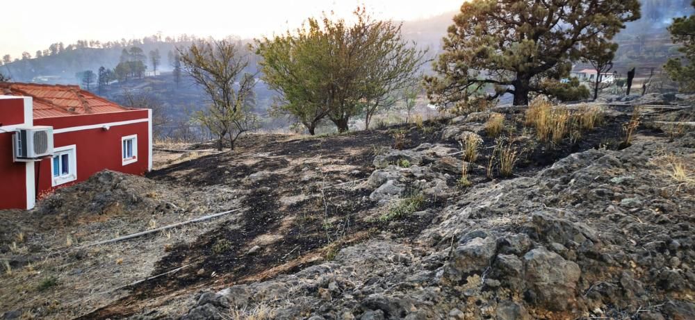 Incendio en Garafía | Domingo