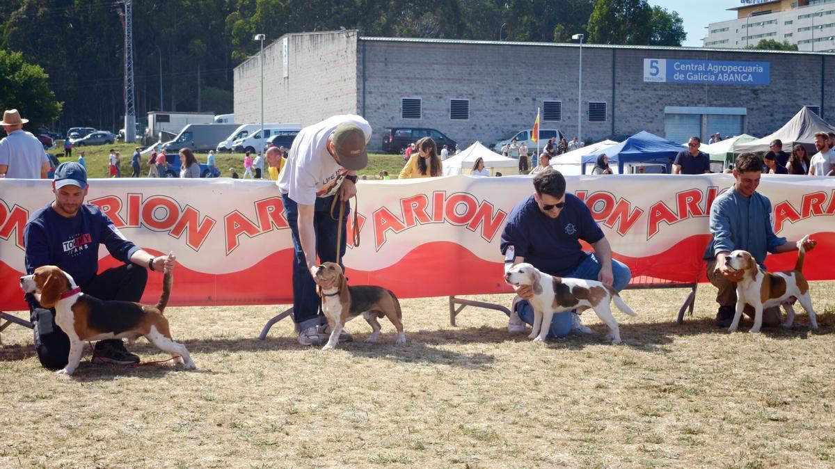 El domingo está cargado de actividades para todos los públicos.