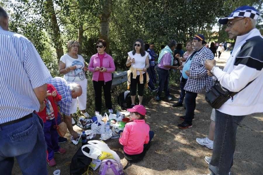 Romería de La Hiniesta