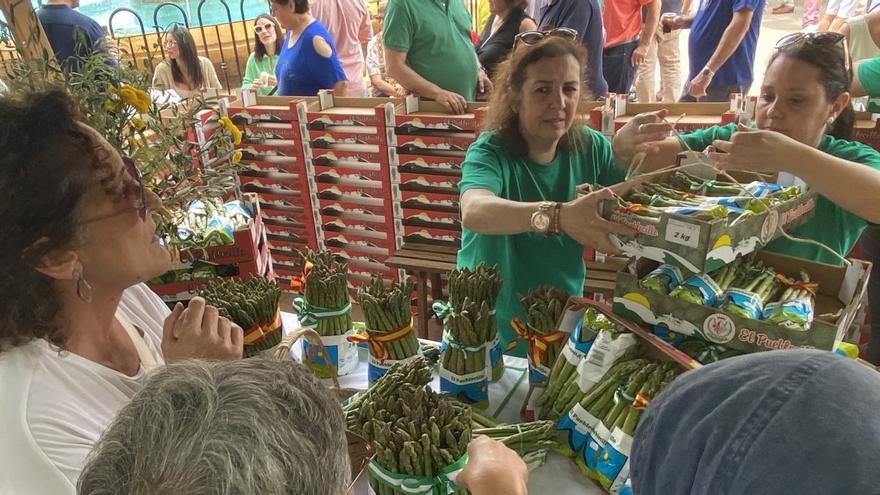 Cuenta atrás para la Feria del Espárrago y la Agricultura Ecológica de Sierra de Yeguas