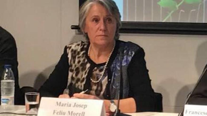 Maria Josep Feliu, durant la presentació d&#039;Àgora Judicial, dijous