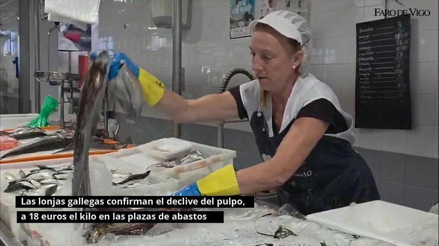 El pulpo, a 18 euros en las plazas de abastos, confirma su declive generalizado en las lonjas gallegas