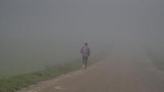 Niebla en Lleida: la vida en blanco y negro