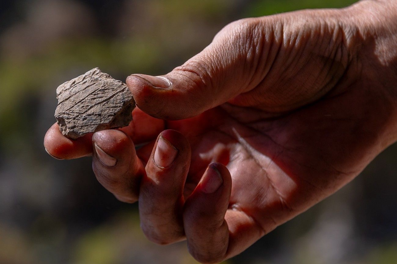 Las huellas 'palmeras' de Indiana Jones
