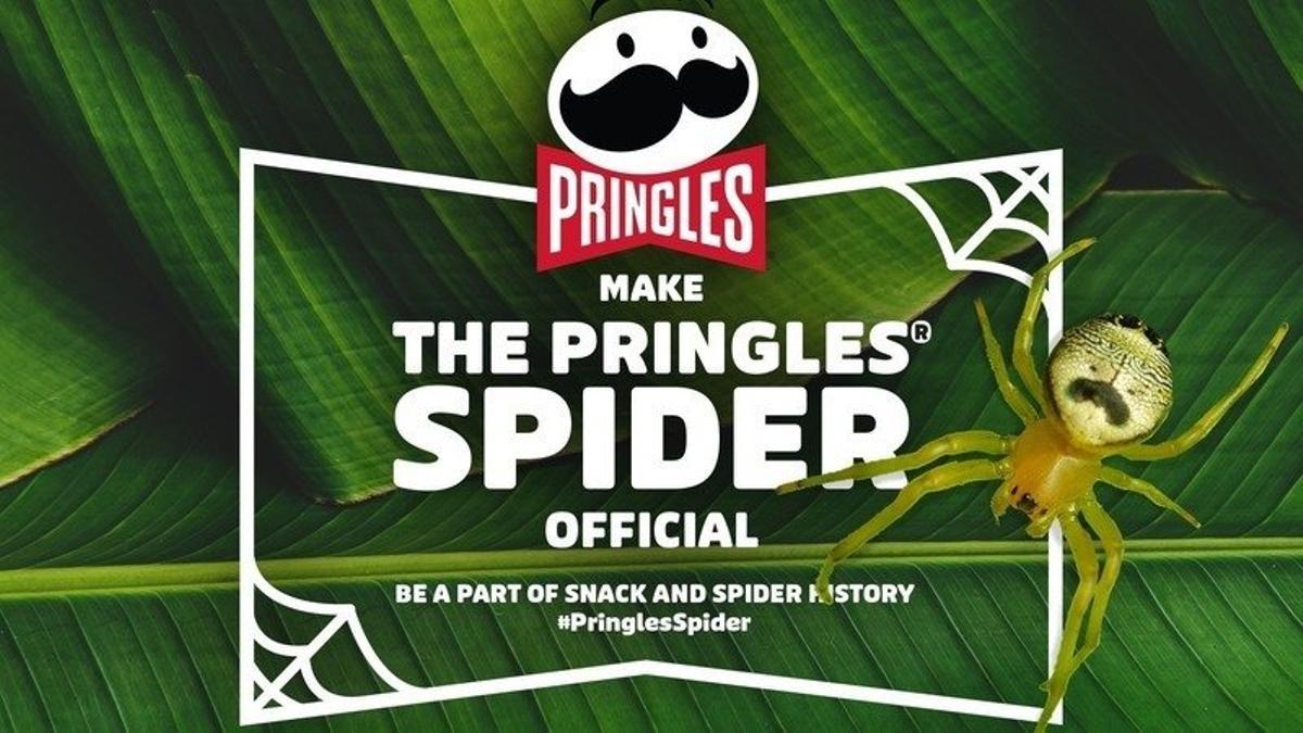 Araña pringles