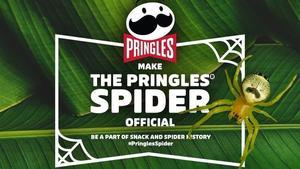 Campaña de Pringles para conseguir rebautizar una araña