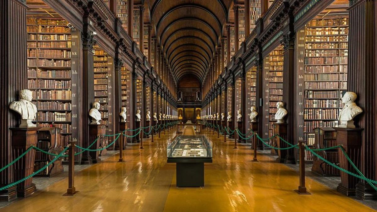 ¿Quién enseñará literatura a nuestras élites?