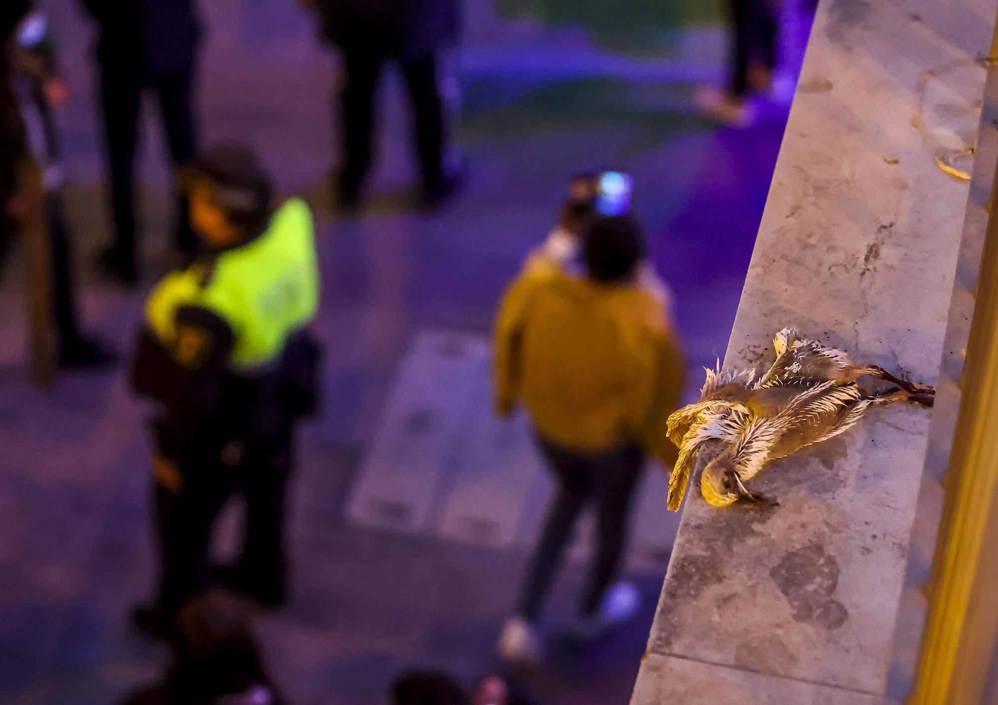 Vía Crucis general de la Junta Mayor de Hermandades