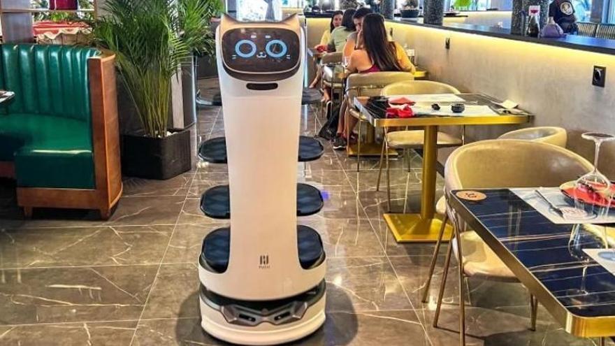 Una robot camarero en el interior del Umi Sushi