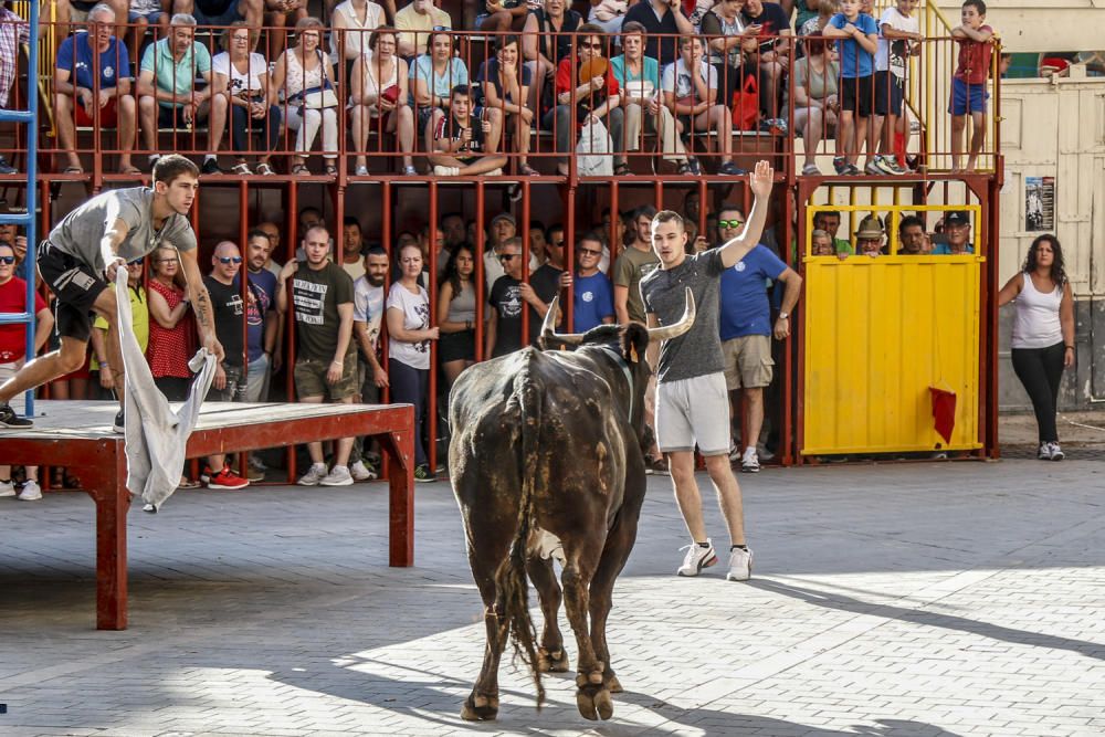 Encierro de toros en Castalla