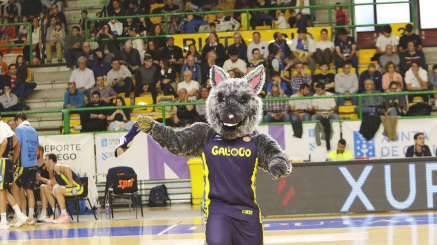 La afición cobista, en el Pazo Paco Paz. | Iñaki Osorio
