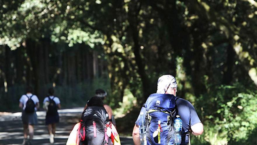 Peregrinos en el Camino de Santiago.   | // XOÁN ÁLVAREZ