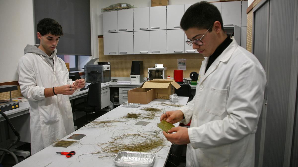 Estudiantes de la UPV de Alcoy trabajando en el material de fibras de palmera en el laboratorio.