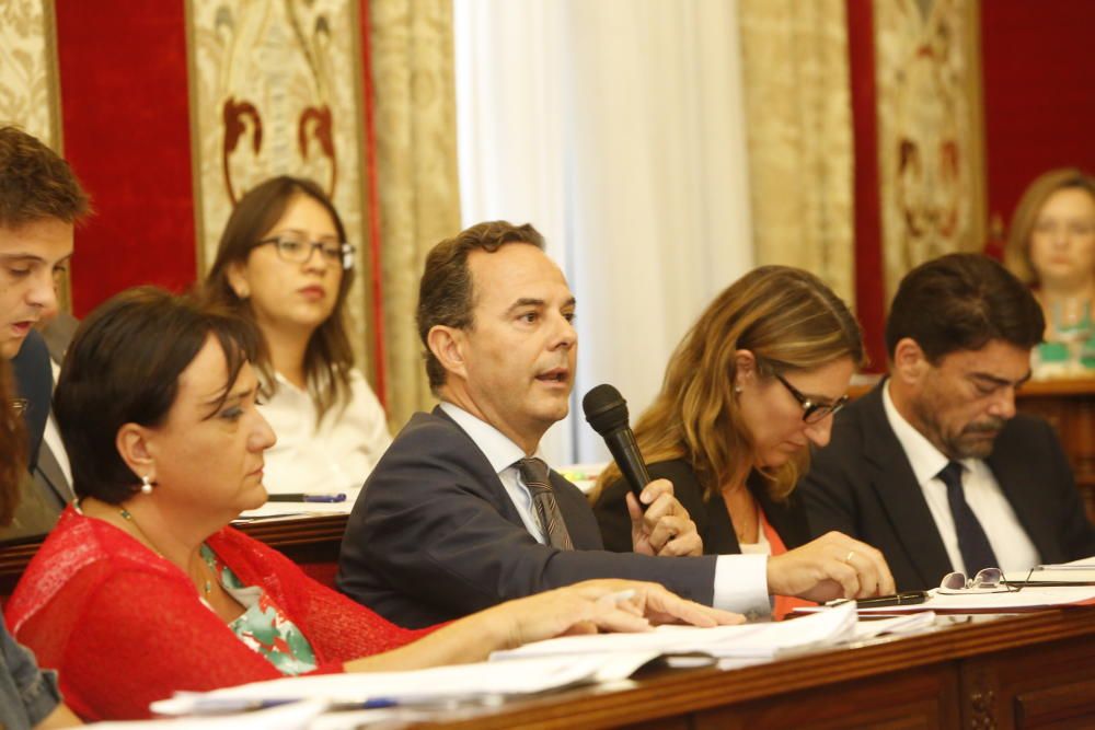 Pleno en el Ayuntamiento de Alicante