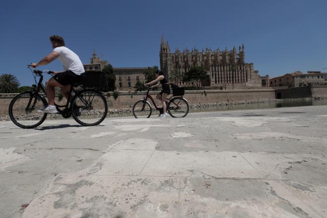 Empiezan las obras en el Parc de la Mar para cambiar el pavimento y el arbolado